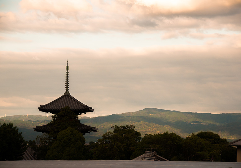 Explore around Horyu-ji Temple in Nara by car and on foot