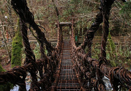 奥祖谷二重かずら橋
