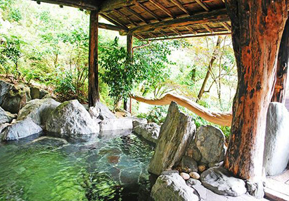 新祖谷温泉 ホテルかずら橋