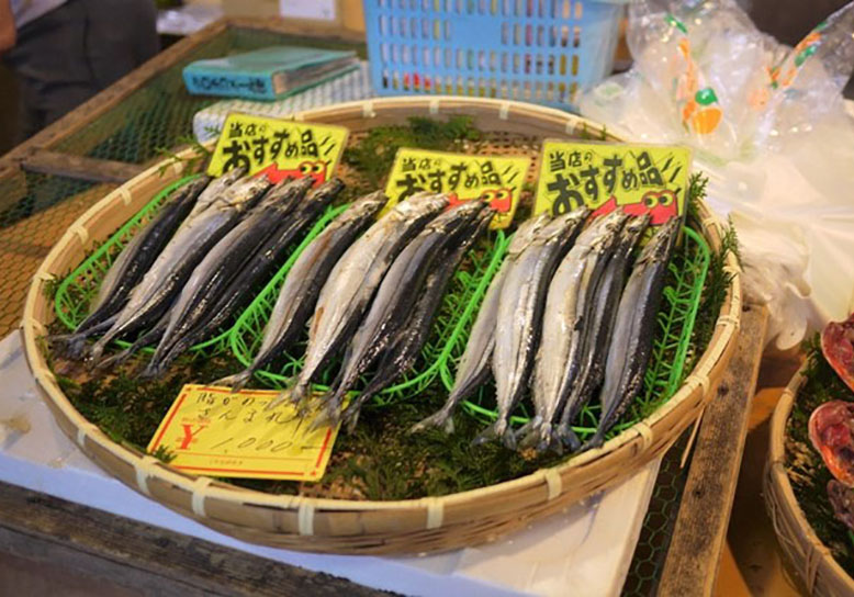 A relaxing day of hot springs, wild animals, and freshly caught fish at Inatori in Higashi Izu