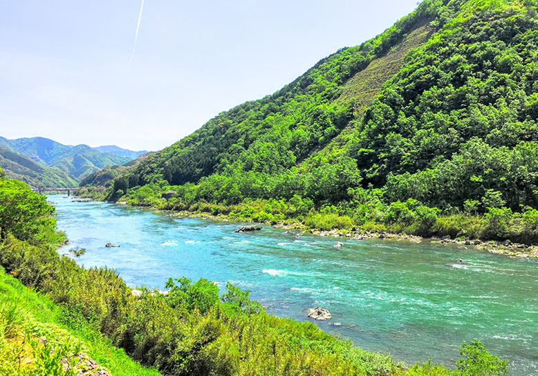 A day exploring the cuisine and natural beauty of the Shimanto River areaの画像