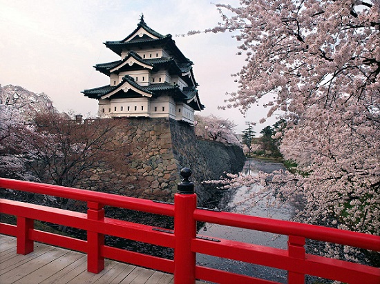 Picturesque Sakura in Tohoku