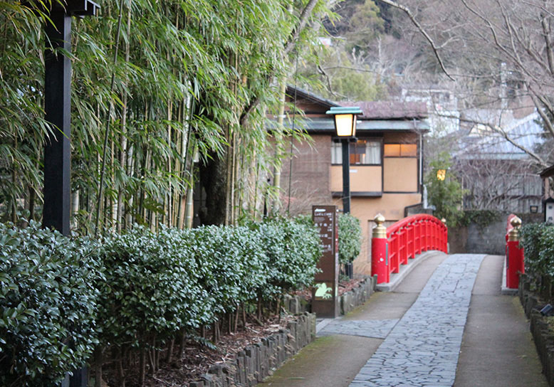 伊豆の小京都・修善寺で温泉も満喫できる1DAY観光プランの画像