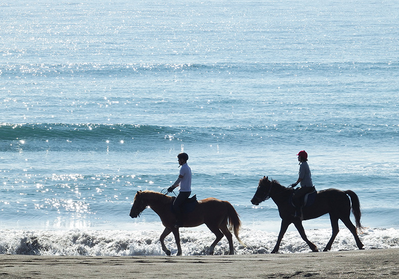 A luxurious plan to refresh at Minamiboso in Chibaの画像