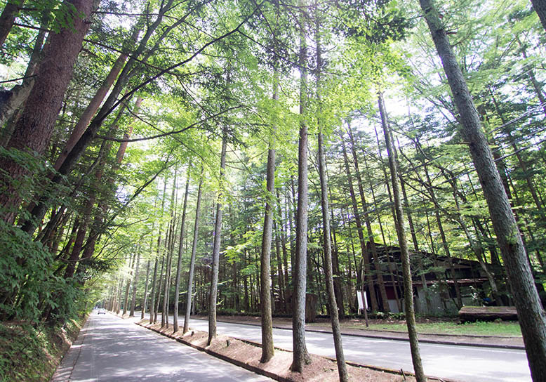 騎乘租賃自行車巡覽輕井澤之旅！玩遍優質景點的自行車路線の画像