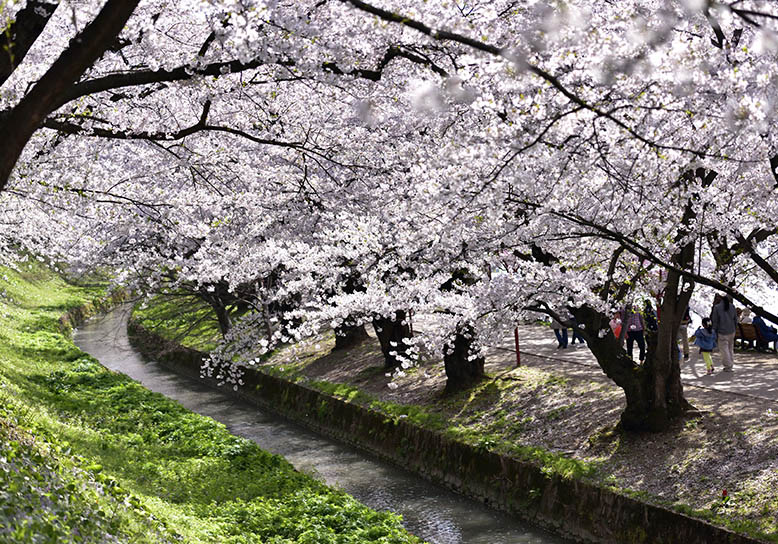 히로사키가 자랑하는 성곽 도시를 산책하며 즐기는 1일 코스