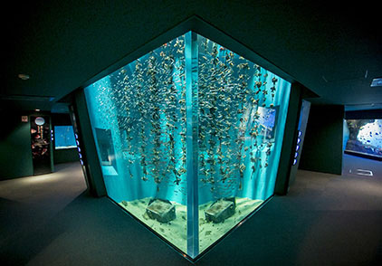 宮島水族館