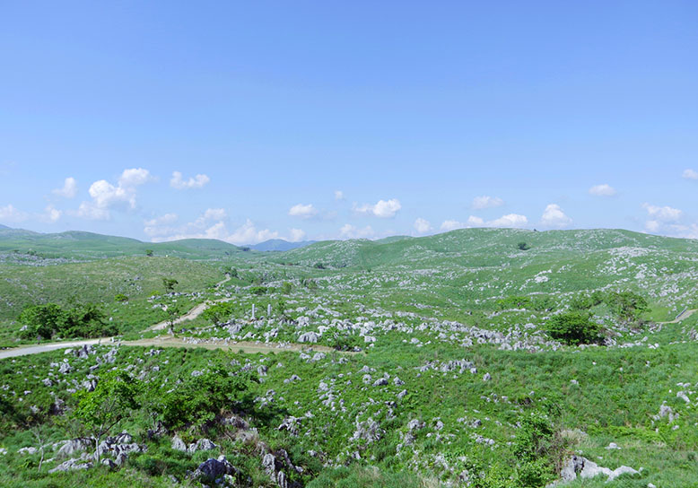 山口の歴史と自然のパワースポットめぐり！萩～秋芳で絶景ドライブの旅